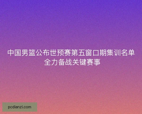 中国男篮公布世预赛第五窗口期集训名单 全力备战关键赛事